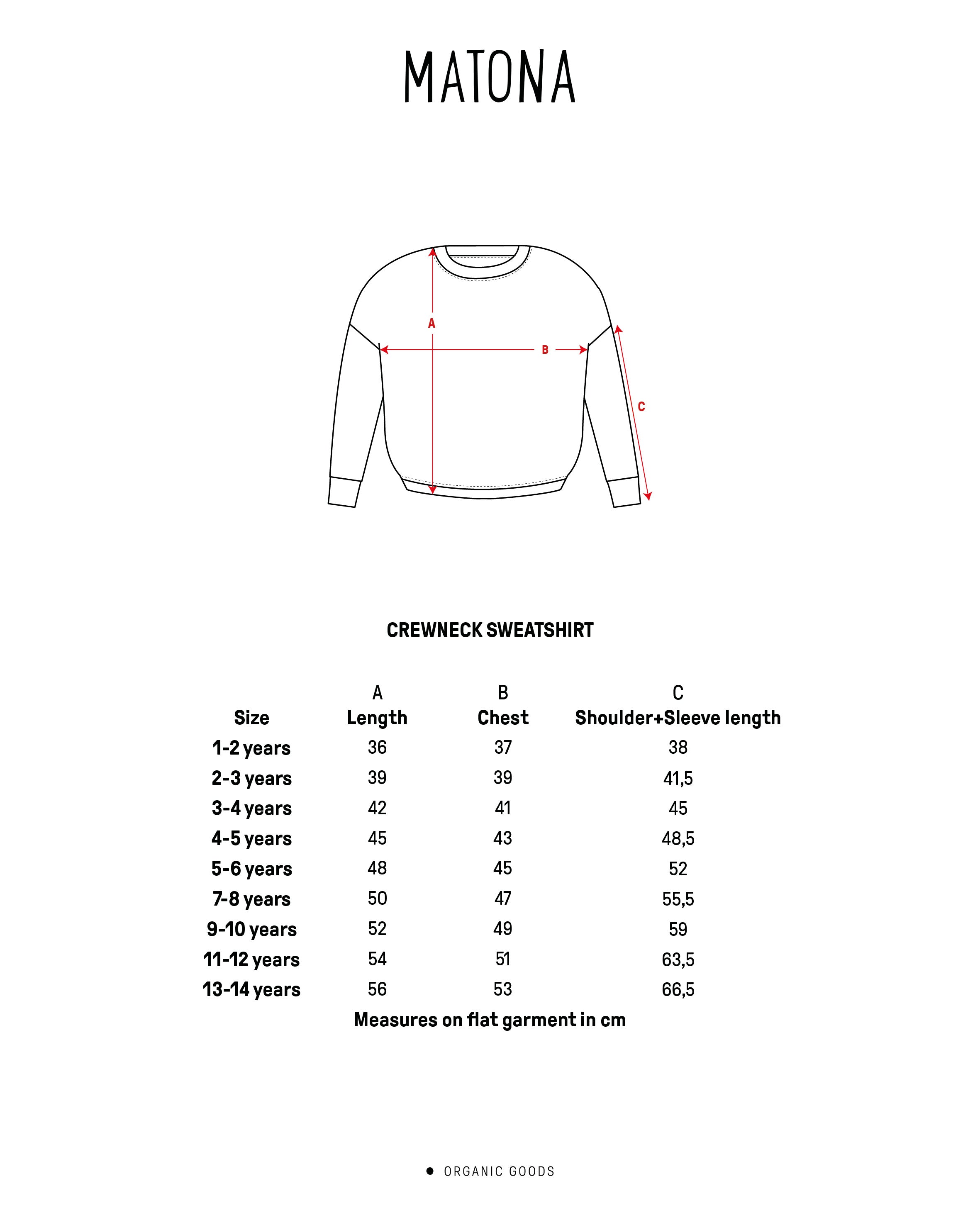 Crewneck Sweatshirt fig