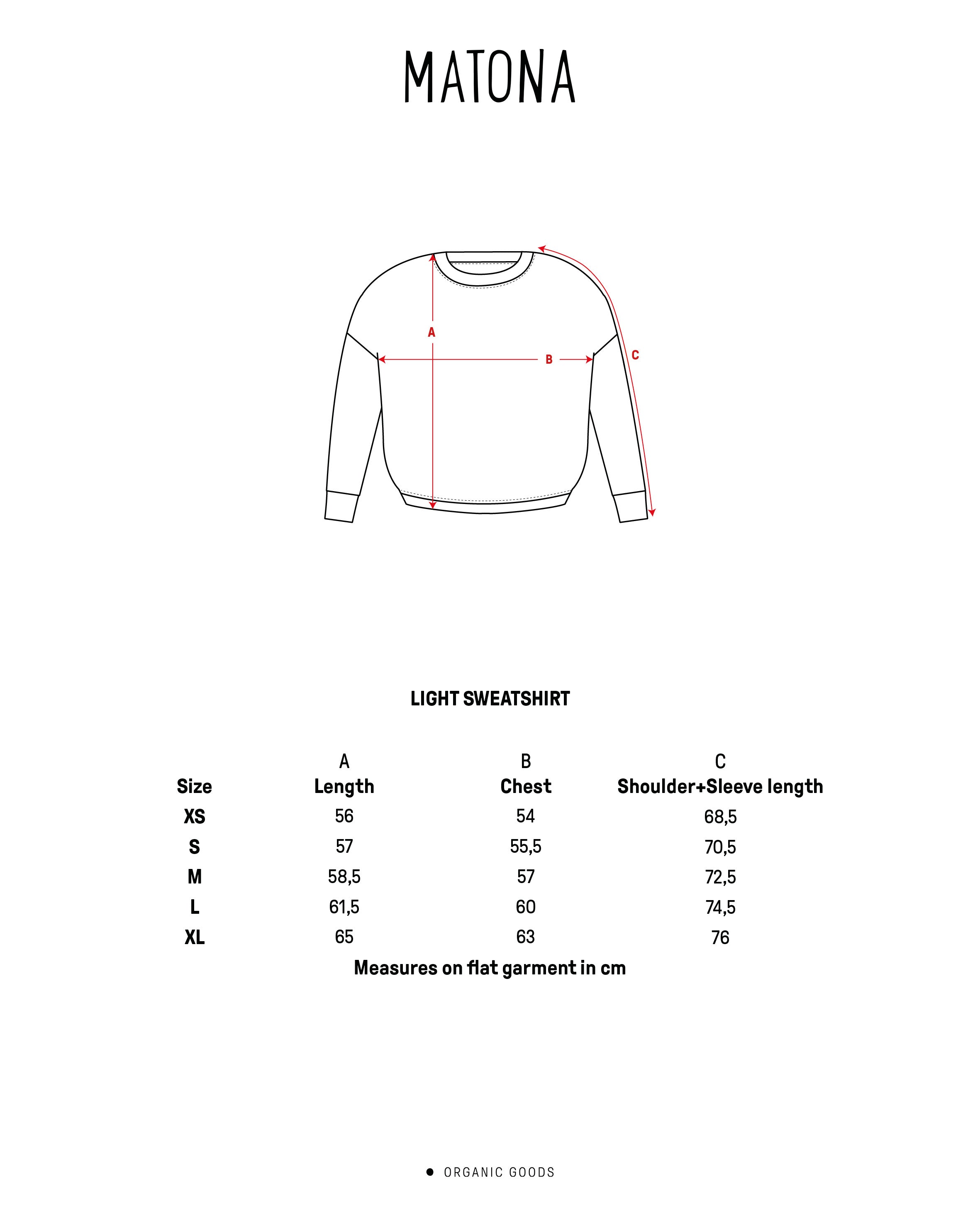 Light Sweatshirt fig