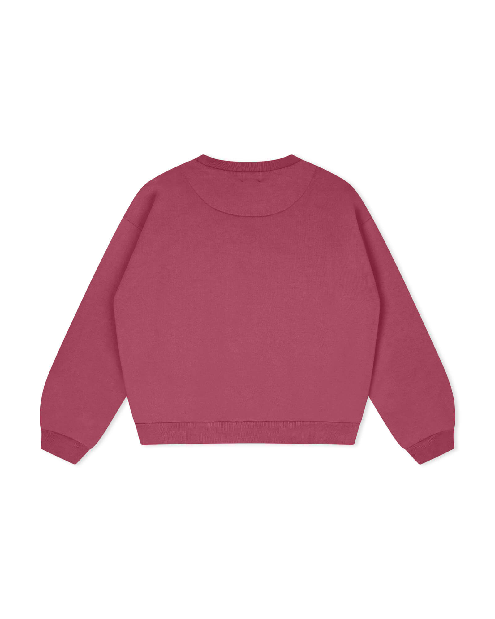 Light Sweatshirt fig