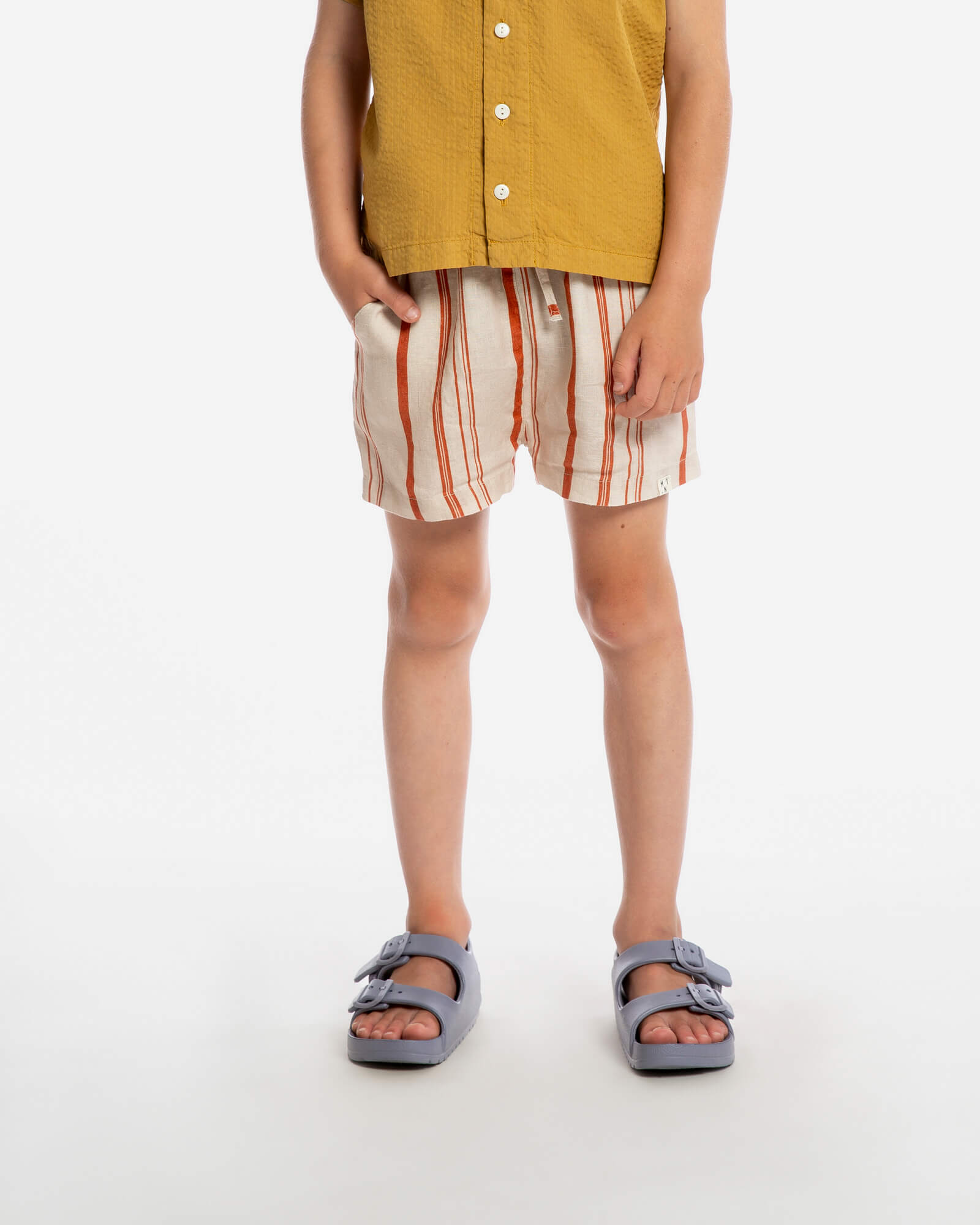 Classic Shorts striped