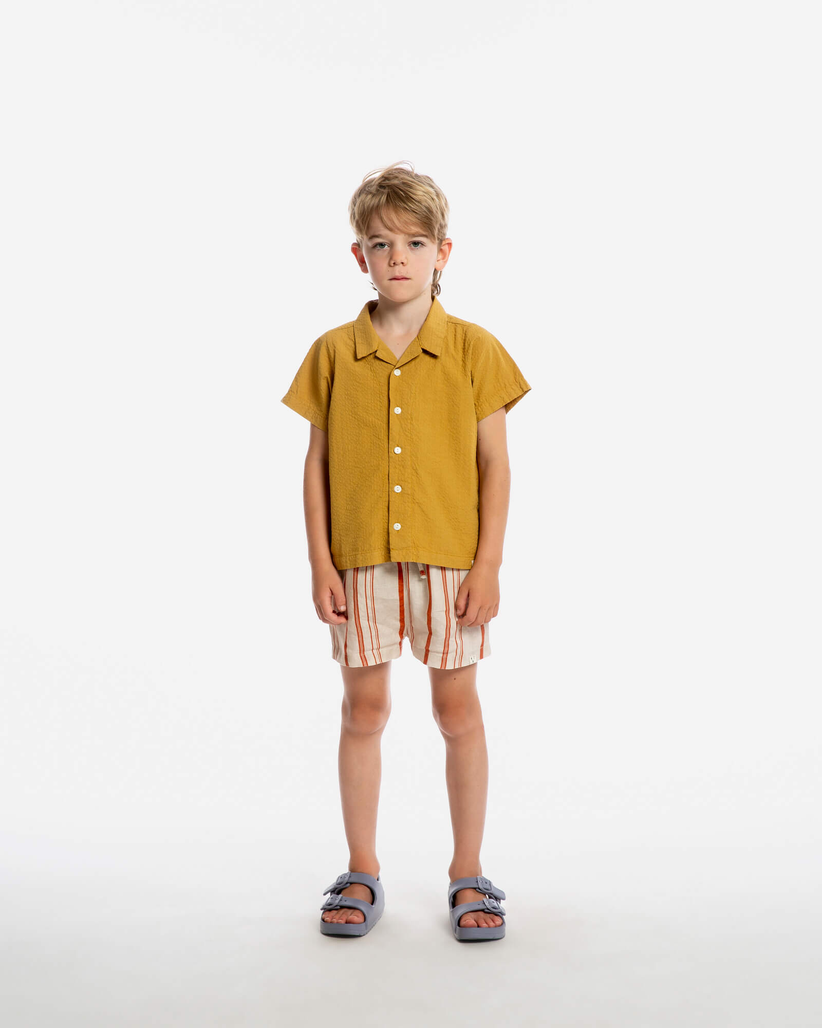 Classic Shorts striped