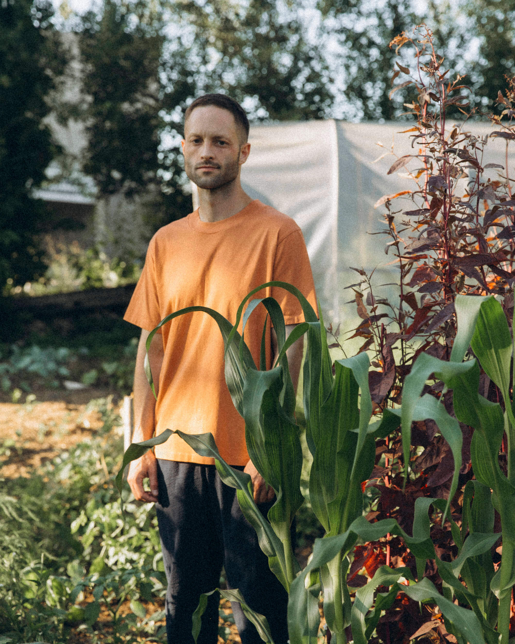 All Day T-Shirt red earth