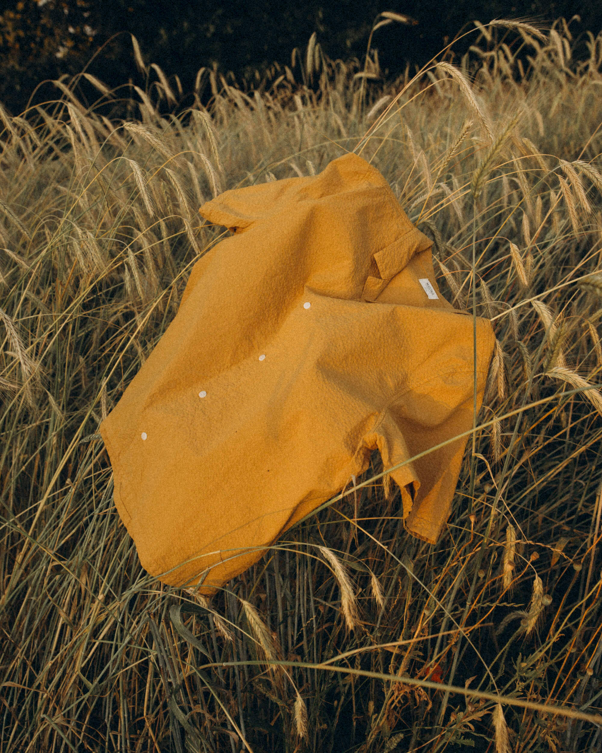 Seersucker Blouse honey