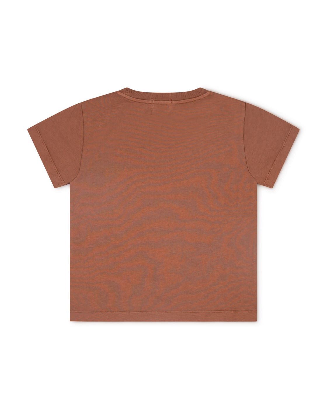 Classic T-Shirt cedar