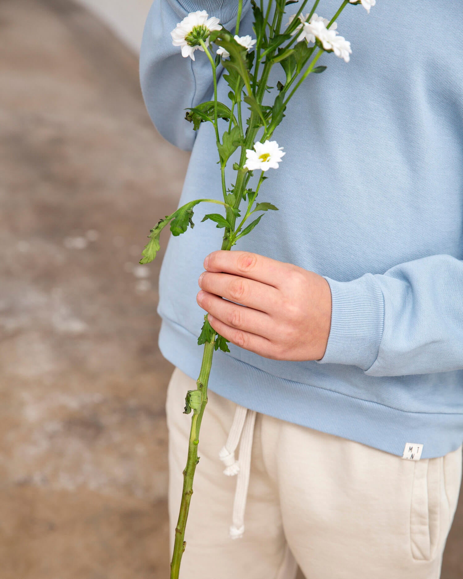 Crewneck Sweatshirt blue fog