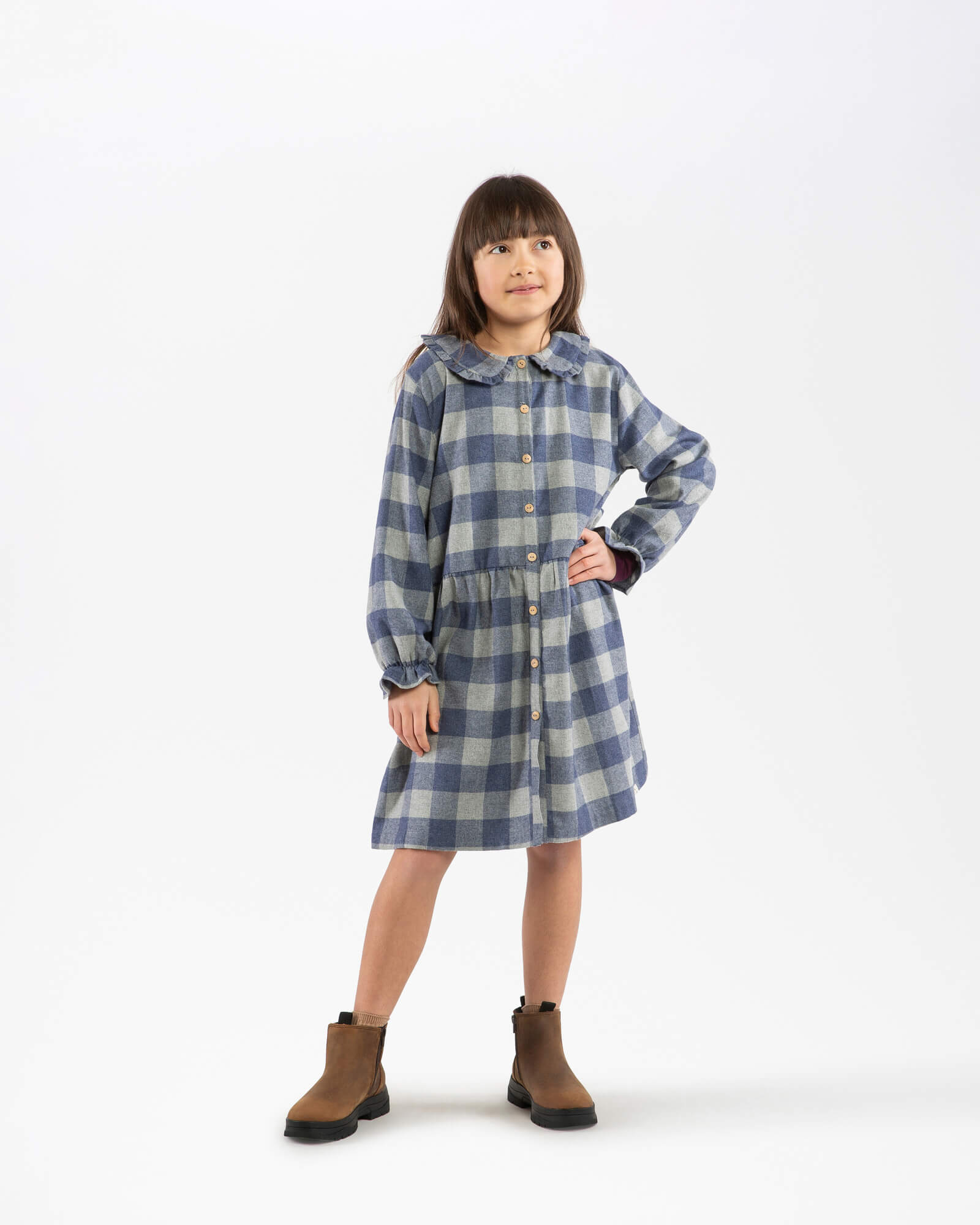 Flannel Collar Dress plaid check
